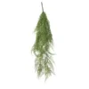 Asparagus Hänger