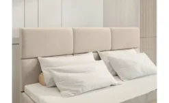 Boxbett Boston
