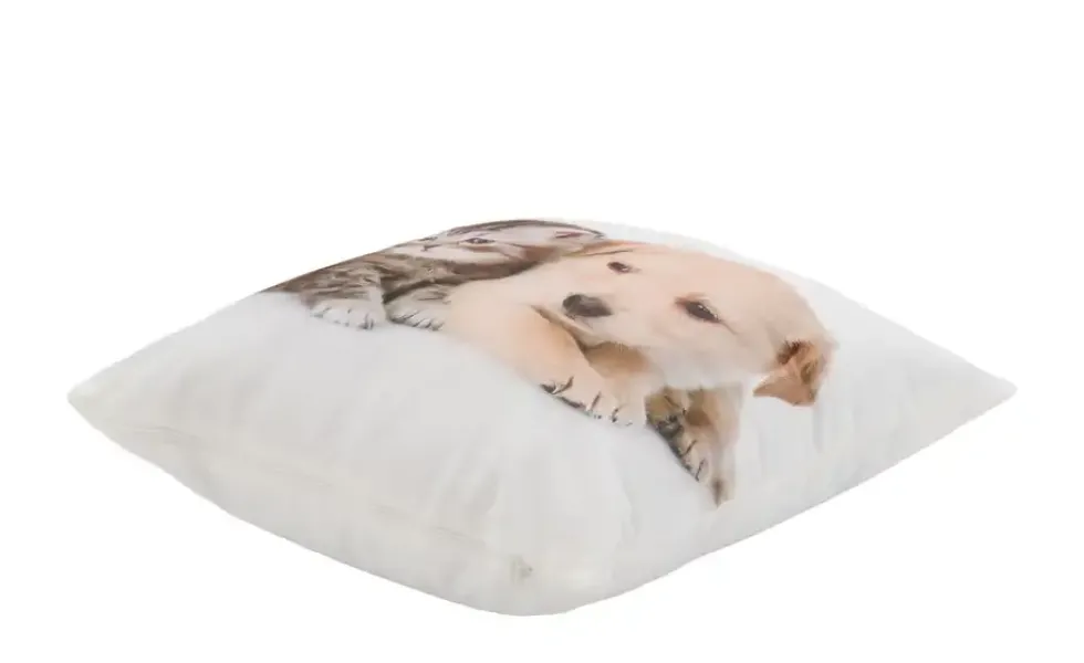 como Kissen Hund und Katze