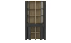 Doppelvitrine