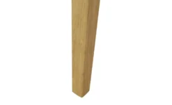 Esszimmerstuhl