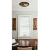 Globo Lighting Deckenleuchte