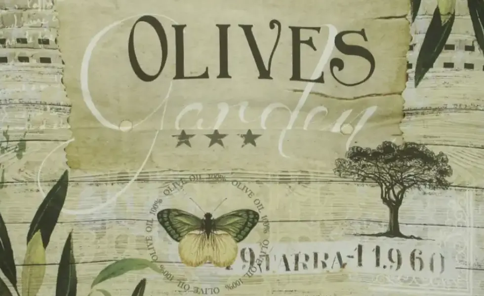 GO-DE Auflage Olives