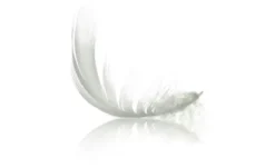 IRISETTE Daunensteppbett extra warm Edda