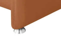Kollektion Kraft Ledersessel Leder Manon