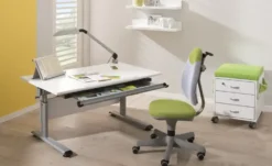 PAIDI Schülerschreibtisch Marco 2