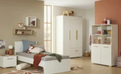 PAIDI Wandbox