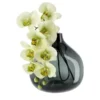 Peill+Putzler Vase