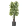 Philodendron getopft