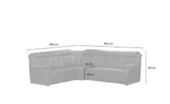 Polstermöbel Oelsa Komfort-Ecksofa aus Leder Andorra