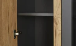Primo Vitrine Butera