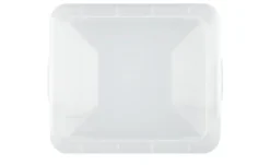 Rotho Aufbewahrungsbox CLEAR