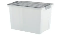Rotho Aufbewahrungsbox mit Deckel
