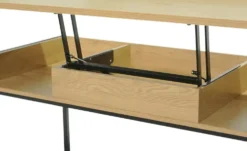 Schreib- und Stehtisch