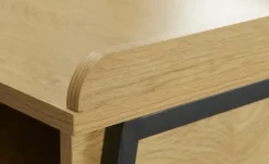 Schreib- und Stehtisch