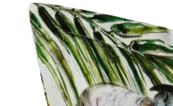 Schwienhorst Auflage Gomera