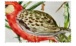 Schwienhorst Auflage Gomera