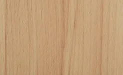 smart Regal
