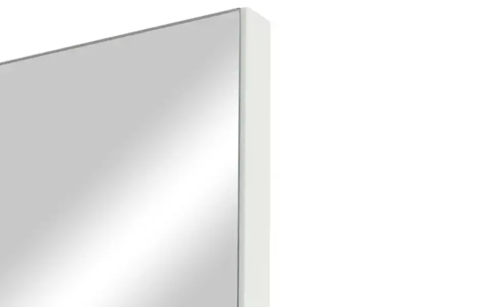 Spiegel 53,8 x 120 cm