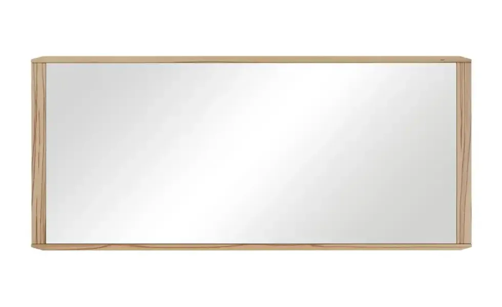 Spiegel 42 x 70 cm