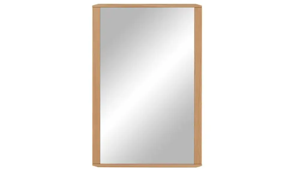 Spiegel 56 x 83,5 cm