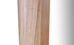 Spiegel 38 x 70 cm