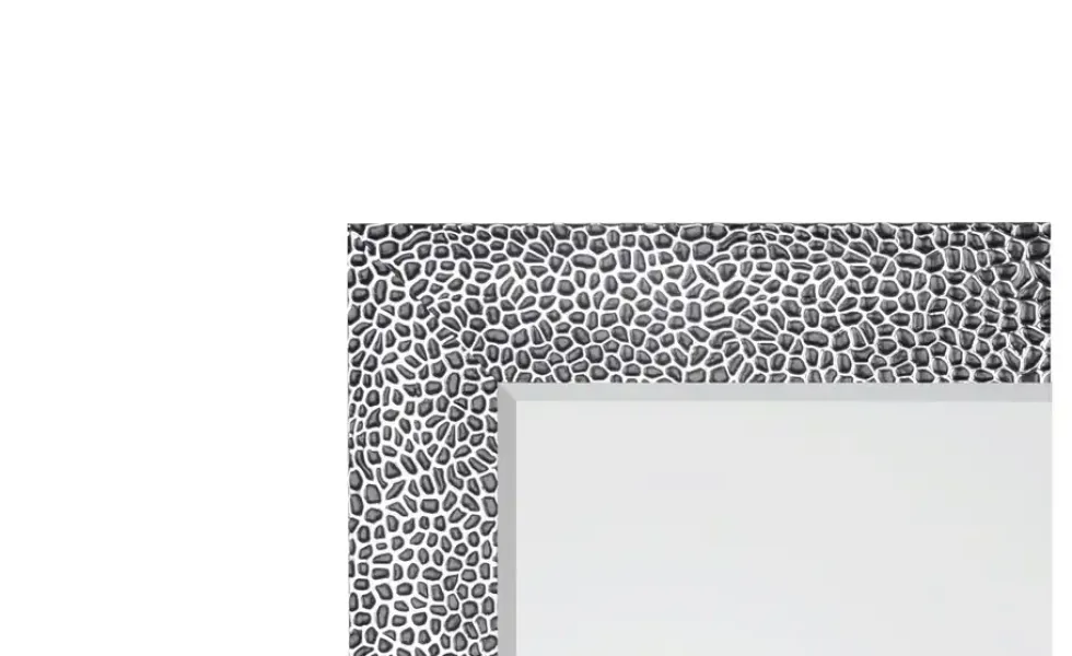 Spiegel 50 x 150 cm