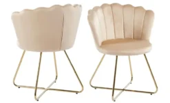 Stuhl 2er-Set