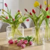 Tulpenbund, 7-fach