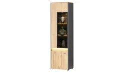 Vitrine