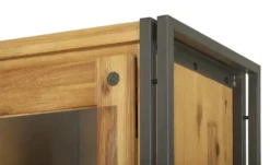 Vitrine Soft-Close-System