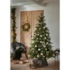 Weihnachtsbaum