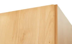 Woodford Drehtürenschrank teilmassiv